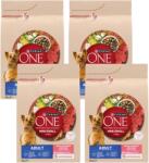 ONE Adult Mini/Small Hrană pentru câini adulți bogată în carne de vită cu orez 4x3 kg