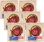 ONE Adult Mini/Small Hrană pentru câini adulți bogată în carne de vită cu orez 6x1, 5 kg