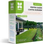 Diolsem Ingrasamant granulat pentru gazon contra buruieni - 1 kg, Diolsem (PR-104376)
