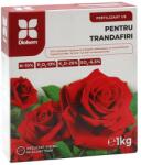 Diolsem Ingrasamant granulat pentru Trandafiri (10-13-25) - 1 kg, Diolsem (PR-104373)