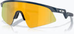 Oakley Ochelari de soare pentru copii Oakley Resistor Sweep polished abyss/prizm 24k
