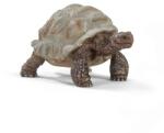 Schleich Animal - broasca testoasa gigantica (102614824) Figurina