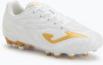 joma Gyerek focicipő Joma Evolution Jr 2602 FG white