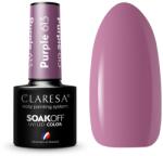 Claresa Oja Semipermanenta Claresa PURPLE 613