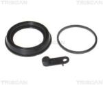 TRISCAN garnitura, piston etrier TRISCAN 8170 189974 (8170 189974)