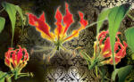 Consalnet Red lilies poszter, fotótapéta (C1-1394)