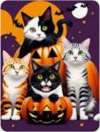 NORIMPEX - Puzzle Tablou Diamant: Halloween Pisici și dovleci 30x40cm - 1 - 39 piese