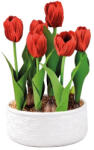 AdTrend Lalele artificiale rosii in ghiveci ceramica alba 18, 5 x 32 cm (74878B)