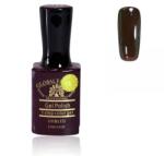 Global Fashion Oja semipermanenta Premium 15 ml, 123
