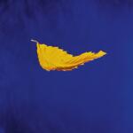 Warner New Order: True Faith - Vinyl (LP)