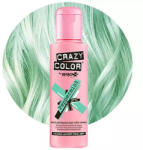 Crazy Color nuanțare păr 100ml Nr. 71 - Mentă (CC48973)
