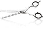 SalonTools mobilier, aparate și accesorii Iwasaki Executive Silver Fuji foarfece de coafură rară de 6 inch (XS400963)