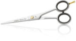 SalonTools mobilier, aparate, accesorii Iwasaki Classic foarfeca de coafură 6 (XS370849)