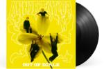 Warner Annie Taylor: Out Of Scale - Vinyl (LP)