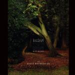 Universal Matthew Herbert United Kingdom and Gibraltar European Union Membership Referendum Big Band: The State Between Us - Vinyl (LP)