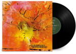 Warner Doldinger's Motherhood: Motherhood - Vinyl (LP)