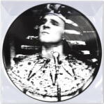 Warner Martin Steve: King Tut (Picture Disc Vinyl) - Vinyl (LP)