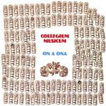 Warner Collegium Musicum: On a ona - Vinyl (LP)
