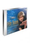 Multisonic Petr Rezek: Kdysi dávno chtěl jsem lítat - CD