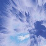 Supraphon Badfocus: Meditating While Raving - Vinyl (LP) (055827)