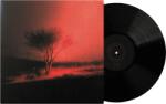 Mystic Production Joji: Piss In The Wind (Limited) - Vinyl (LP)