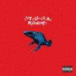 Warner Waterparks: Intellectual Property - Vinyl (LP)