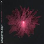 Nuclear Blast Profiler: Digital Nowhere (Coloured Red & Black Splatter Vinyl) - Vinyl (LP) (075488)