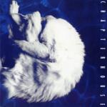 Sony Music Chapterhouse: Whirlpool (Limited Coloured White & Black Marbled Vinyl) - Vinyl (LP)