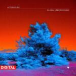 Warner Various: Global Underground: Global Underground: Afterhours 9 - 2Vinyl (LP)