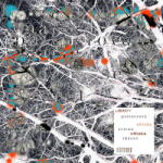 Supraphon Puttnerová Marie: Zelená oblaka, růžové stromy - Vinyl (LP)