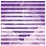 Warner Gewalt: Gewalt Live At Clouds Hill - Vinyl (LP)