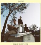 Warner Wallows: Tell Me That It's Over (Coloured Yellow Vinyl) - Vinyl (LP)