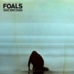 Warner Foals: What Went Down - Vinyl (LP) (012536)