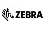 Zebra Cap de printare Zebra Kit, Printhead 203 dpi, ZD411D, ZD611D P1117258-036 (P1117258-036)