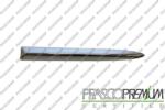 Prasco Elemente caroserie, Aripa, Bara protectie Bara protectie, piese Prasco FT0302104 (PRASCOFT0302104)