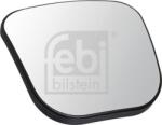 FEBI Bilstein Geamuri, Oglinzi Oglinzi FEBI Bilstein 100033 (FEBIBILSTEIN100033)