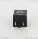 Triscan Sistem semnalizare, Releu Triscan 1010 EP35 - compatibil Rover, Audi, Peugeot, Land - Triscan-1010 EP35 (TRISCAN1010EP35)