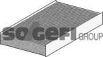 Fram Filtru habitaclu Fram CF10202 (FRAMCF10202)