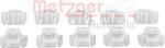 Metzger Trim, Protecție, Embleme Dungi decorative, de protectie Metzger 2280070 (METZGER2280070)