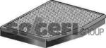 Fram Filtru habitaclu Fram CF9509 (FRAMCF9509)