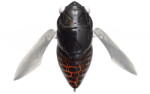 Megabass Vobler Megabass Gran Siglett 4.25cm 7g FF Kuro Ageha (MB412356)