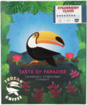 Coffee66 Toucan Strawberry Cloud Nesspresso (20)