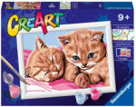 Ravensburger - CreArt pictura pe numere pentru copii pisicute prietene (RVSPBN23562) Carte de colorat