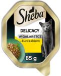 Sheba Delicacy csirkével zselében 85 g nedves macskaeledel