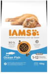 Iams Kitten Ocean Fisch 10kg