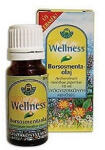 Wellness borssmentaolaj 10 ml - plazapatika