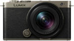 Panasonic Lumix S9 + S 18-40mm f/4.5-6.3 Black/Titan Limited Edition (DC-S9NE-NB) Digitális fényképezőgép