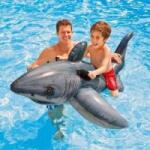 INTEX Inflatable pool figure Intex 0774037 (173 x 107 cm)