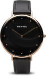 Bering 14839-462 Ceas