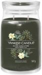 Yankee Candle Yankee Candle, Silver Salvie si Pin, Lumanare intr-un borcan de sticla 567 g (NW3499293)